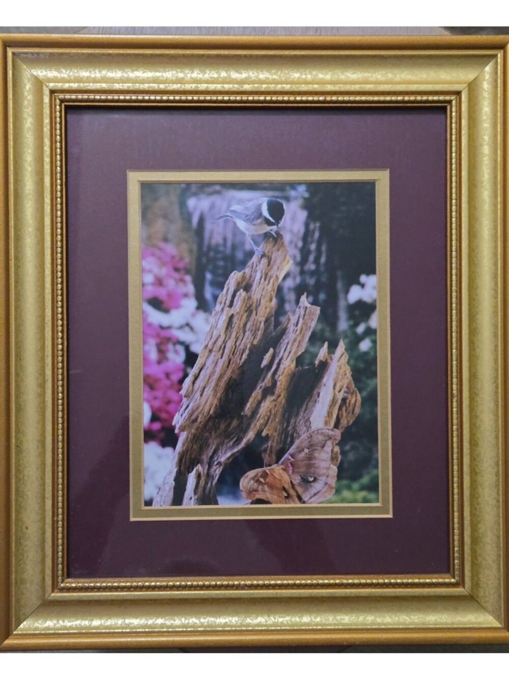 Gold Framed Chickadee Floral Butterfly Photo Print Grandma Country Cottage